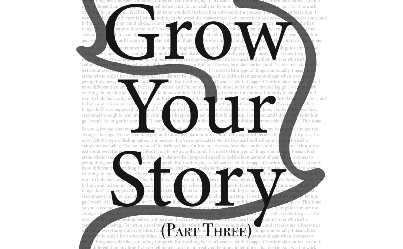 Grow Your Story Part 3 : The Emotional WHY